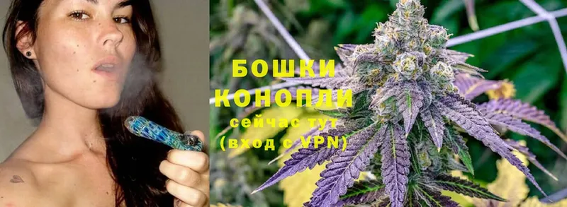 наркота  Адыгейск  Конопля SATIVA & INDICA 